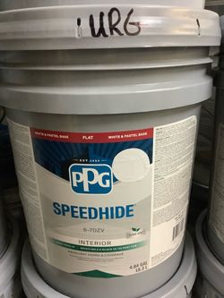 Interior Paint (Reflection)