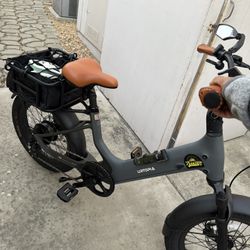 Electric Bike (e Bike)
