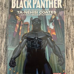 Black Panther: A Nation Under Our Feet