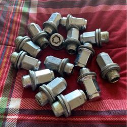 Lug Nuts (15)
