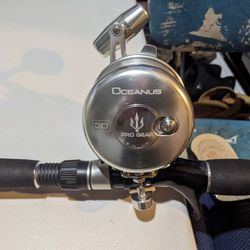 Oceanus Reel And Veritas Fishing Rod