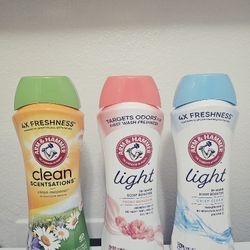 Arm & Hammer Scent Booster 