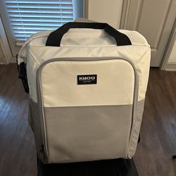 Igloo Backpack Cooler - $20 OBO