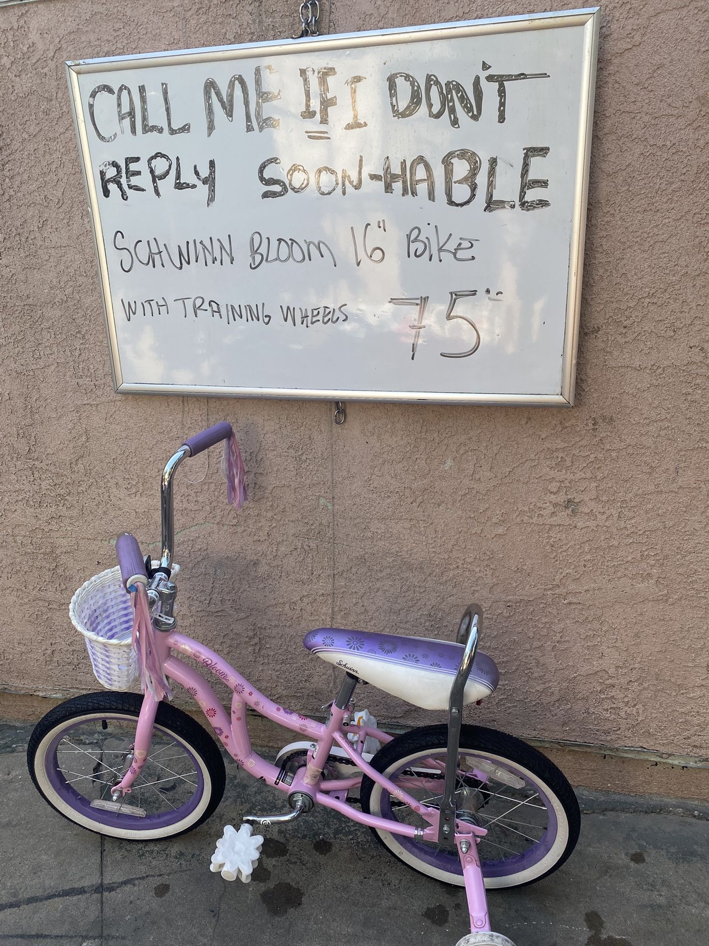 Schwinn Bike