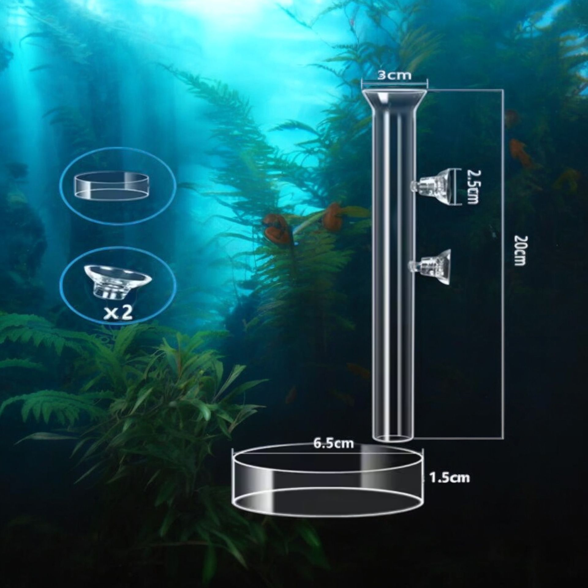 Shrimp Feeding Tube and Dish,Clear Crystal Glass Shrimp Feeder Tube for Fish