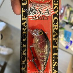 Fishing Lure 