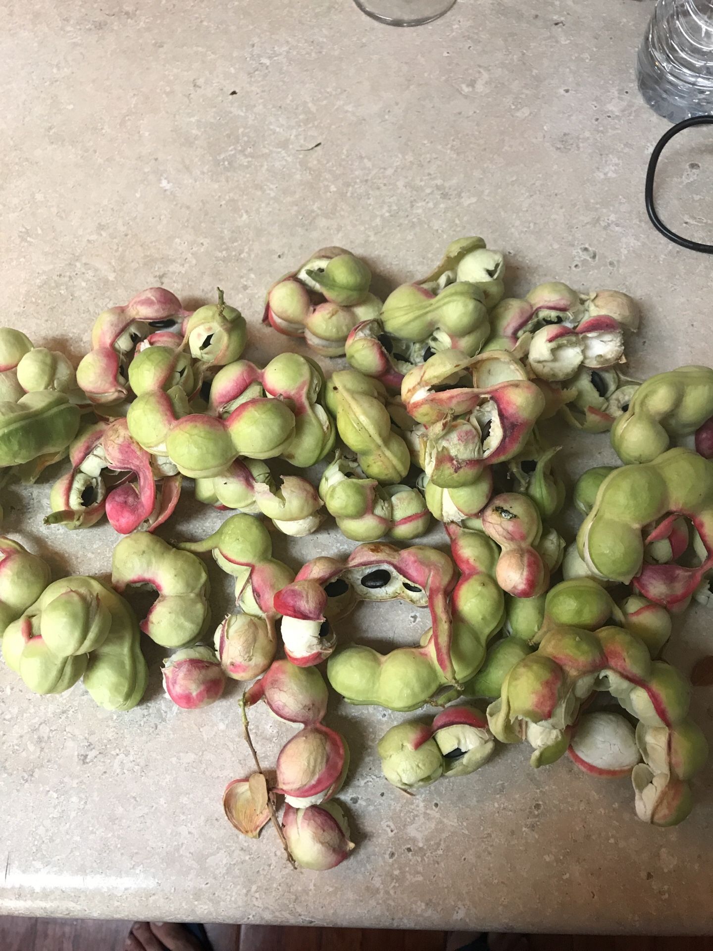 Guamuchiles /fruit