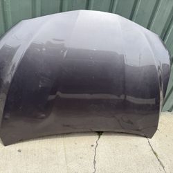 2022 Toyota Camry Hood 