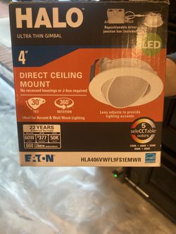 Halo 4” Direct Ceiling Mount Light
