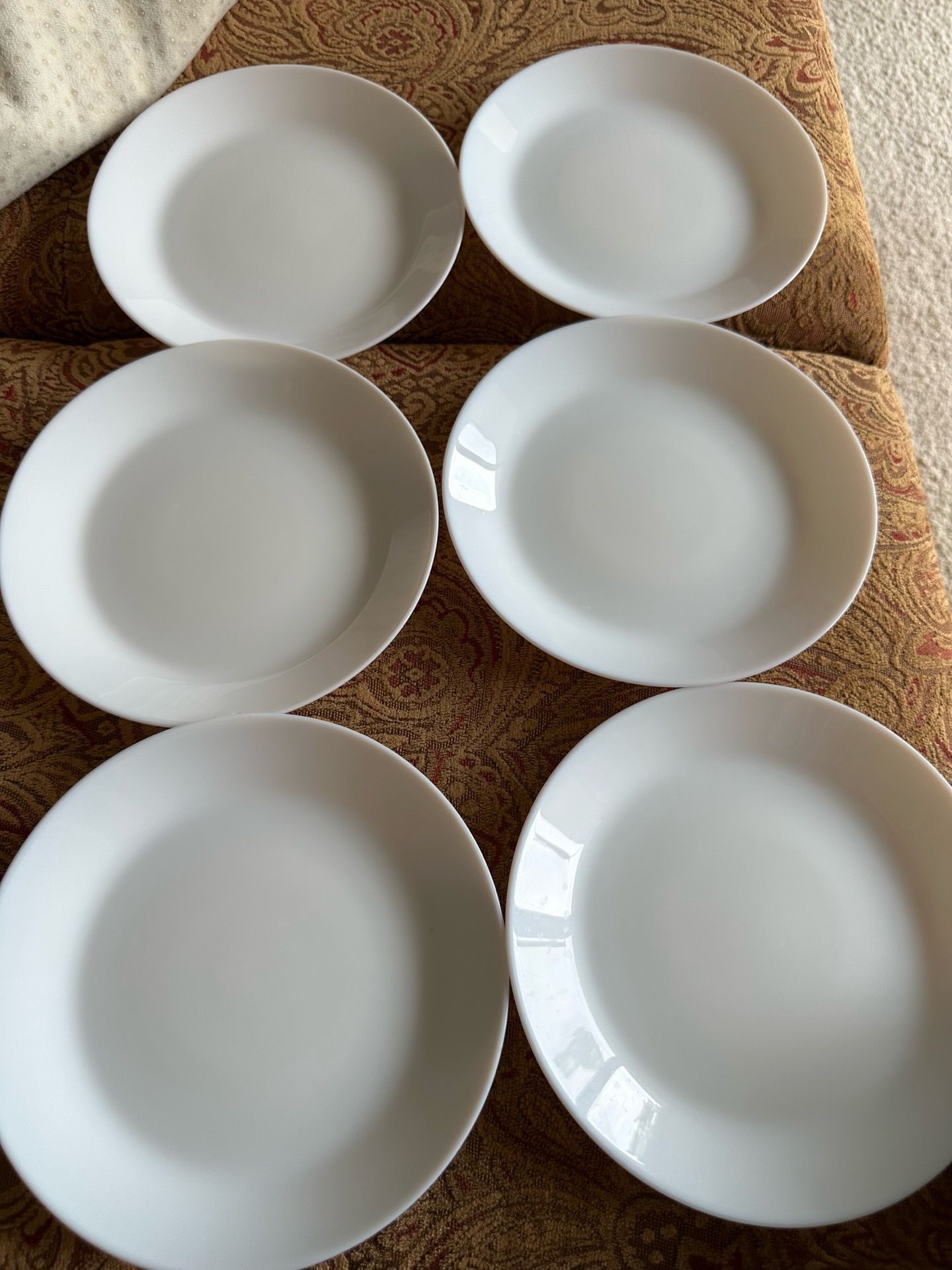 6 Small Plates !!