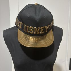 Walt Disney World CAP