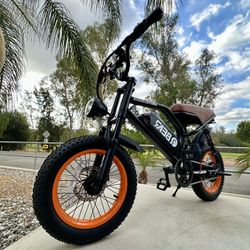 Electric Bike