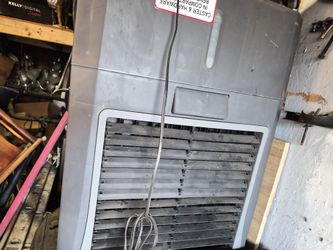 Fan