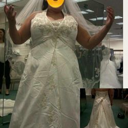 Ivory Wedding Dress And Veil