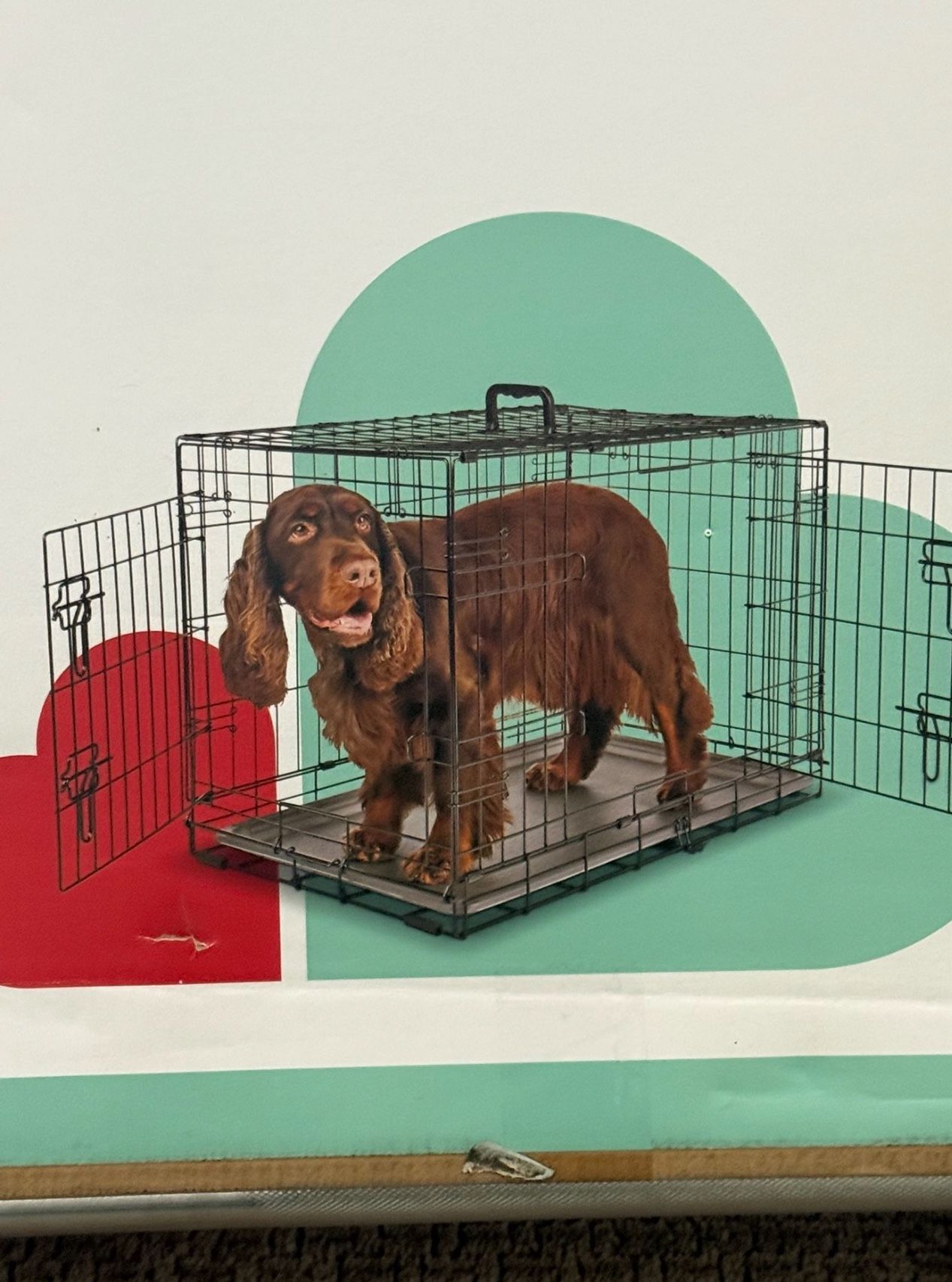 Cage For Small Dogs
