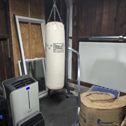 Everlast Punching Bag and Stand