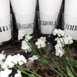 Custom Mixology Cocktail Drinking Glasses 