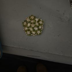 Broach