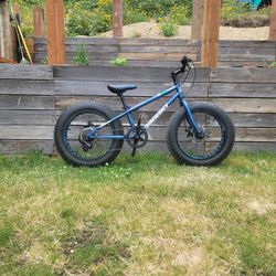 Kids Fat Tire Bike