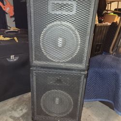 SoundTechMonitors 10 Inch Wolfers 