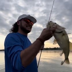 Bass Fishing Guide 