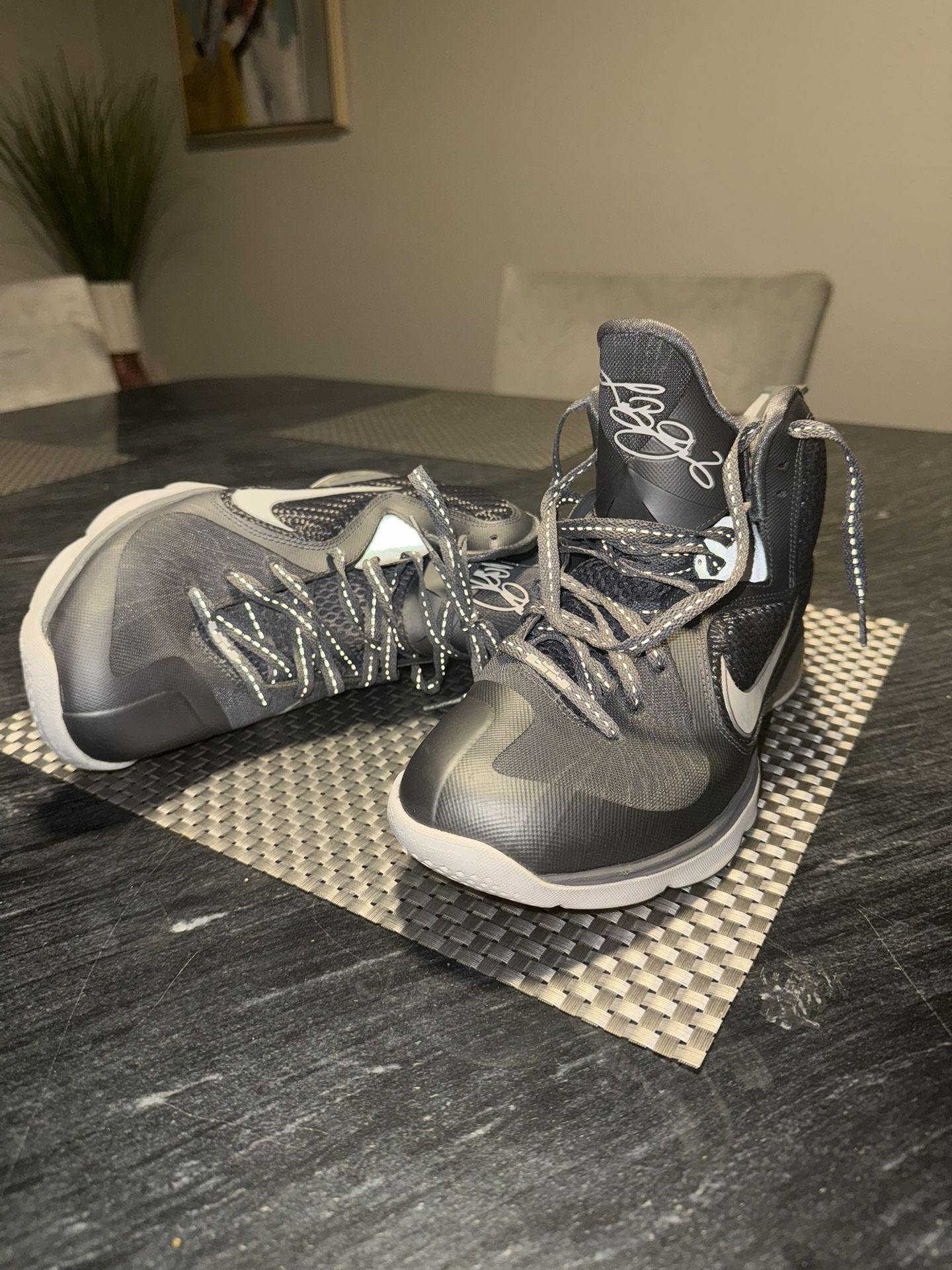 Nike LeBron 9