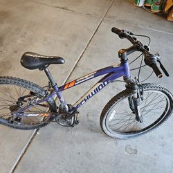 Kids Schwinn Mountain Bike