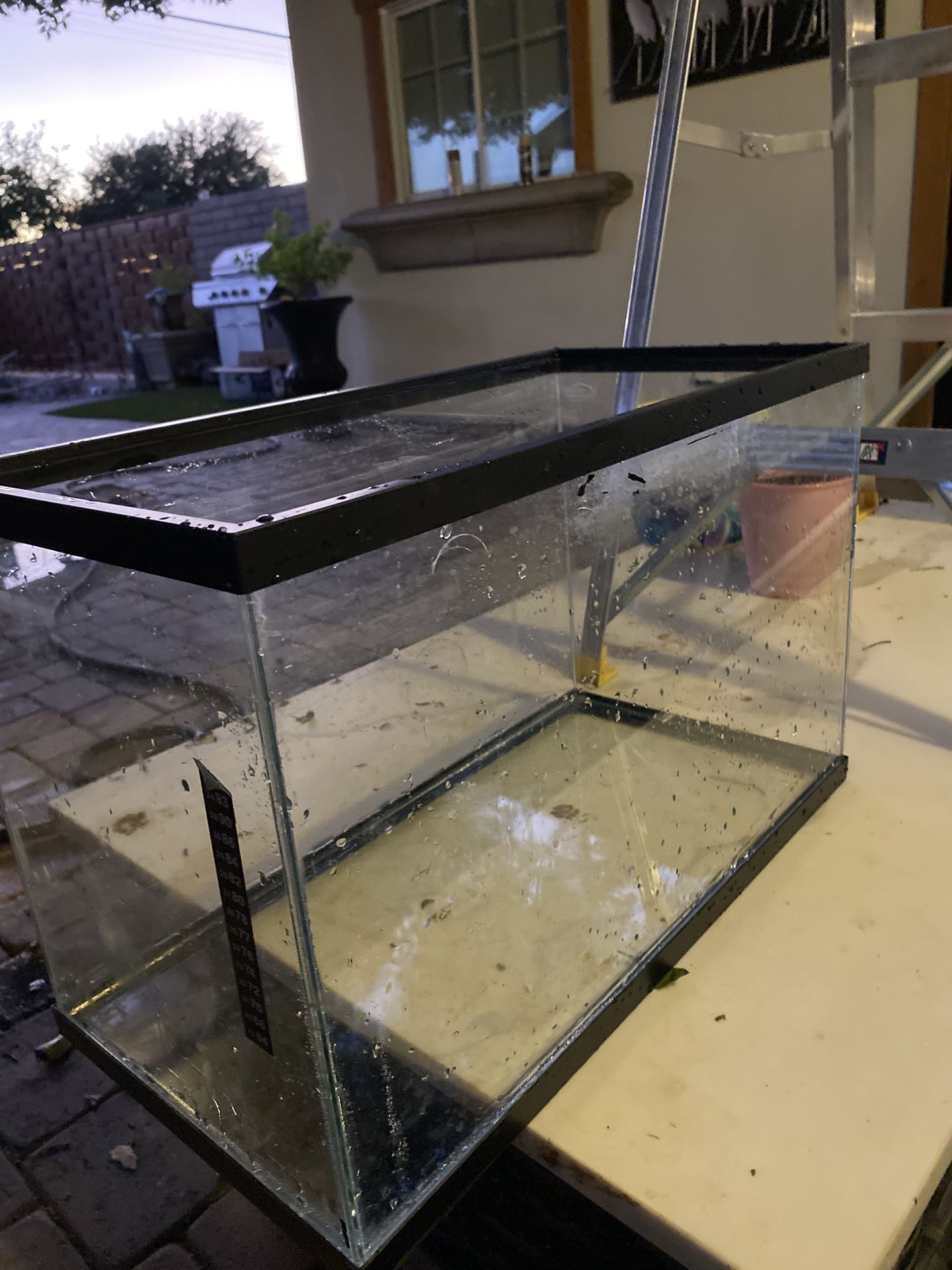 fish tank