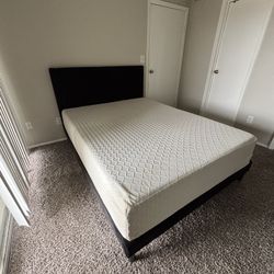 Queen Sized Mattress 