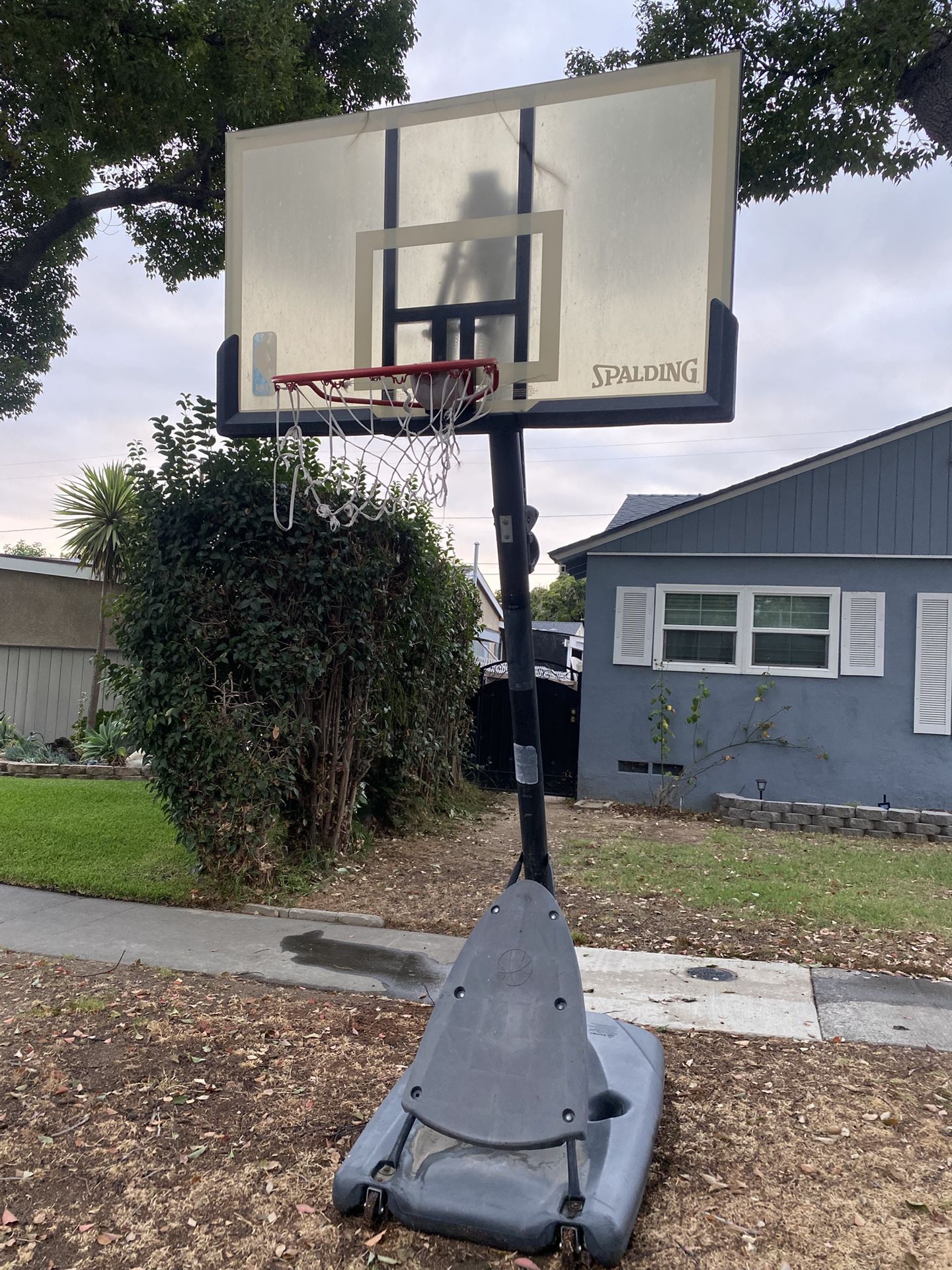 Basketball Court Free