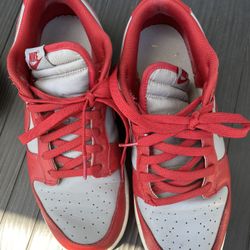 Nike Dunks 