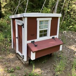 Chicken Coop
