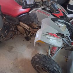 Polaris Predator 500cc