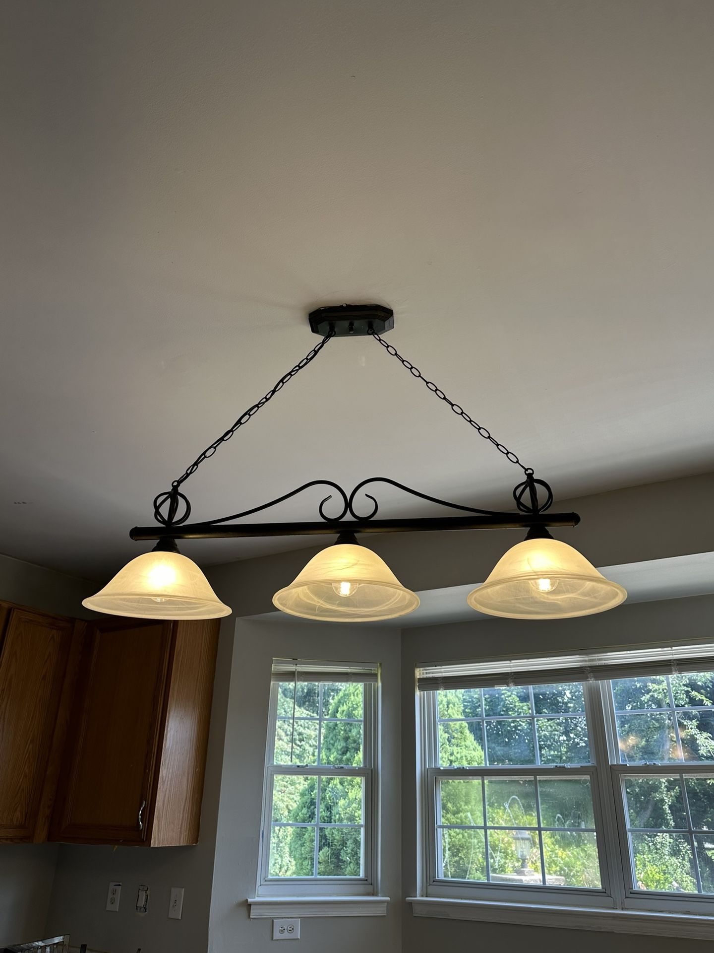 Kitchen Light Fixture $400 Value