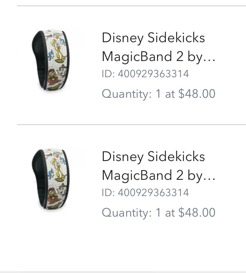Disney Magic Bands