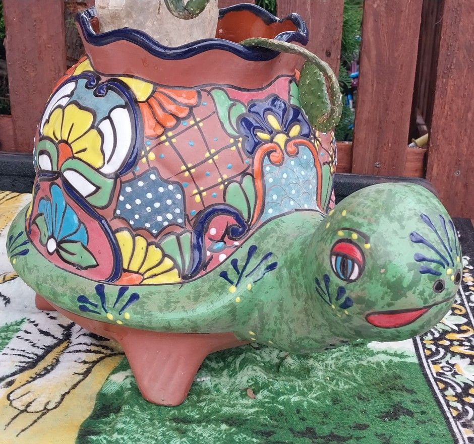 Turtle Planter Cactus
