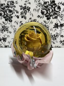 Light Pink Rose Globe 