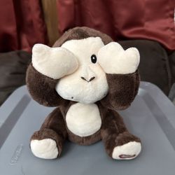 Peek A Boo Monkey 