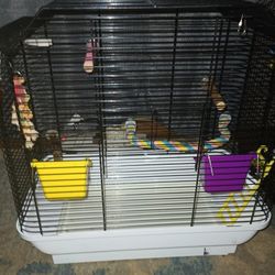 Bird Cage