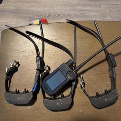 Sport Dog TEK2.0 Tracking And Training Collars