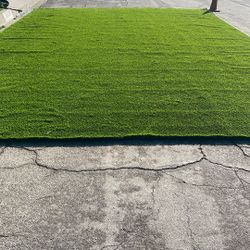 Artificial Turf 15’x20’ $650