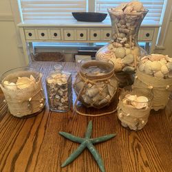 Massive Natural Sea She’ll Collection In Decorative Glassware