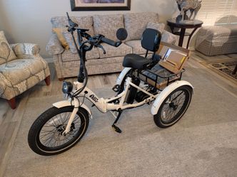 Ollie Leo Electric Trike