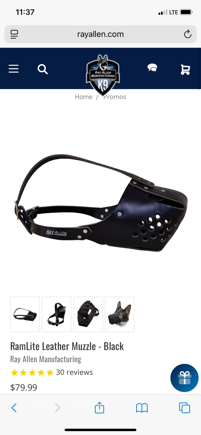 Leather Leash And Leather Large Matching Muzzle