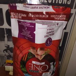 Purina One Puppy 