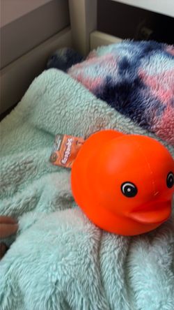 Rubber ducky squishy