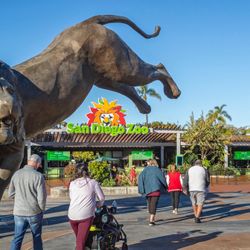 San Diego Zoo Adult Tickets (8)