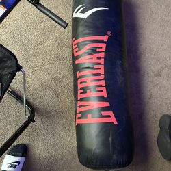 Everlast 100 Pound Punching Bag
