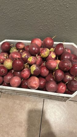 Passion fruit / maracuyas
