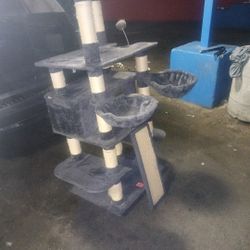 Kitty  House To Play